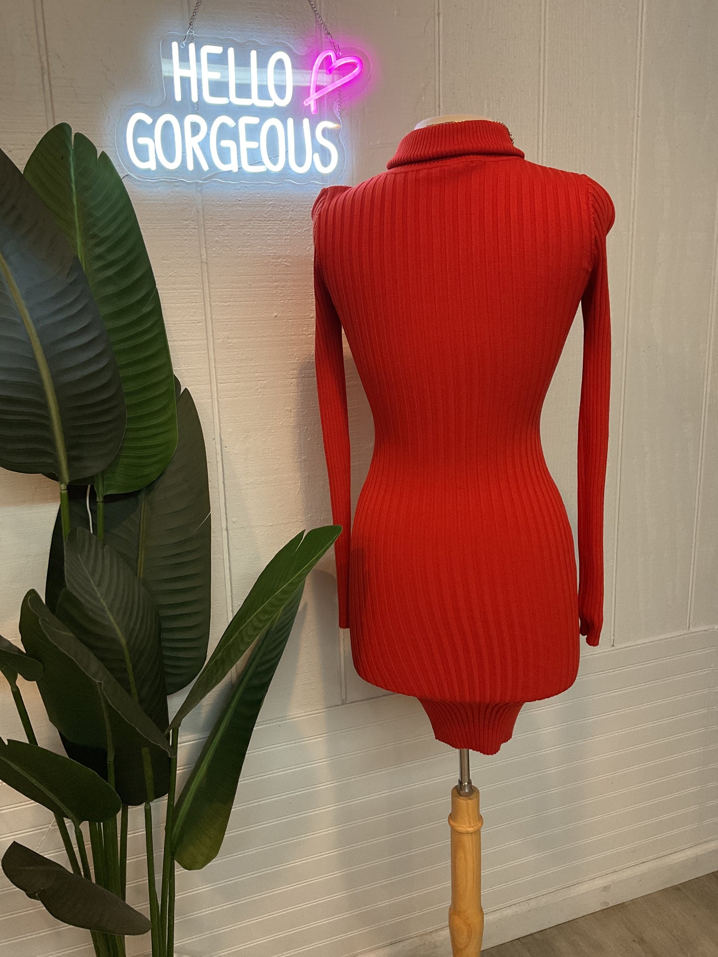 Stephany Long Sleeve Dress
