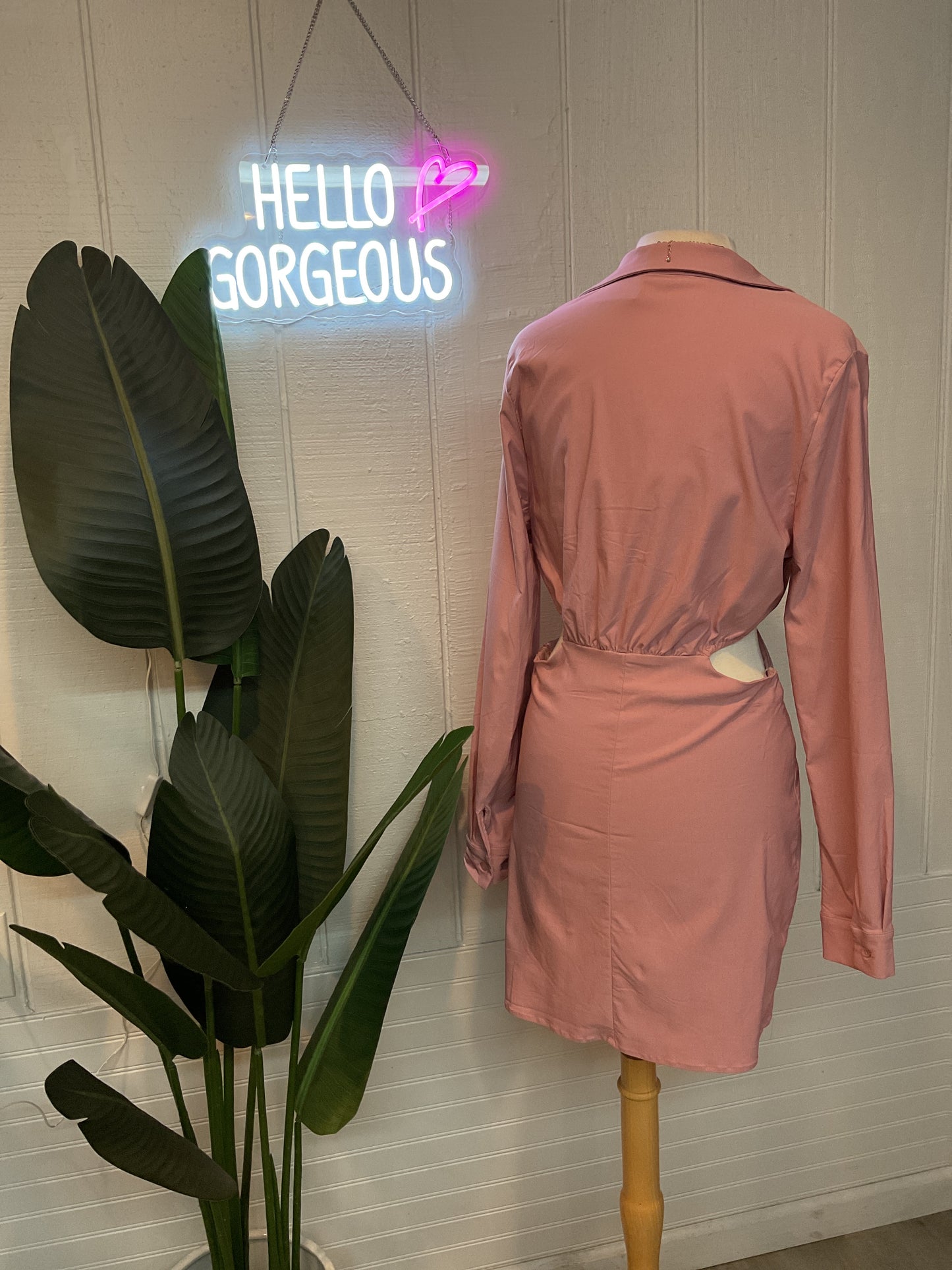Melanie Long Sleeve Dress