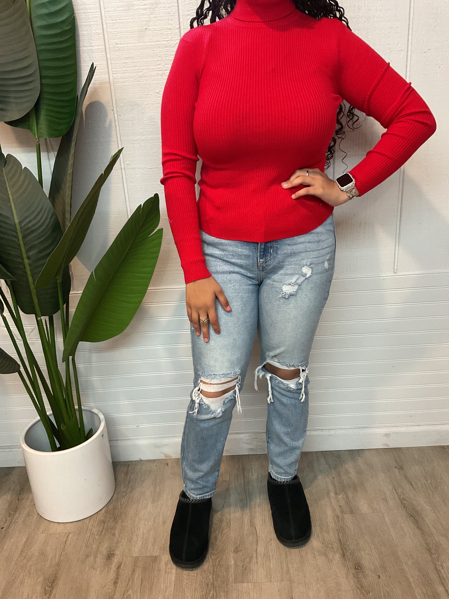 Turtle Neck Long Sleeve