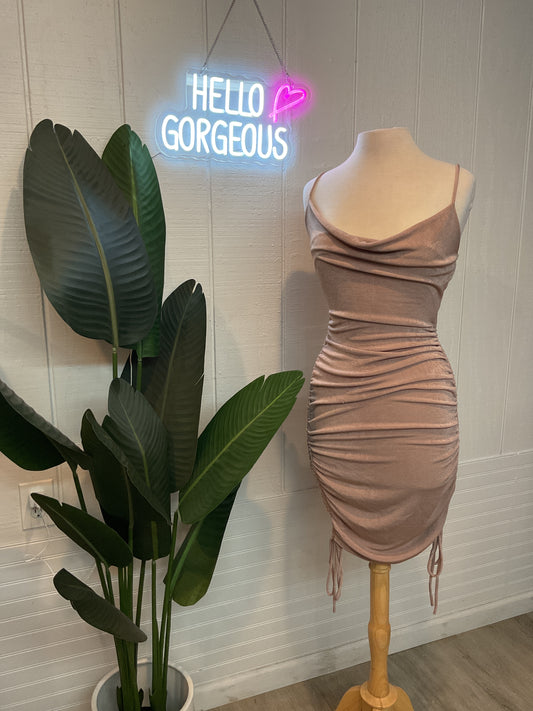 Rose Gold Dress