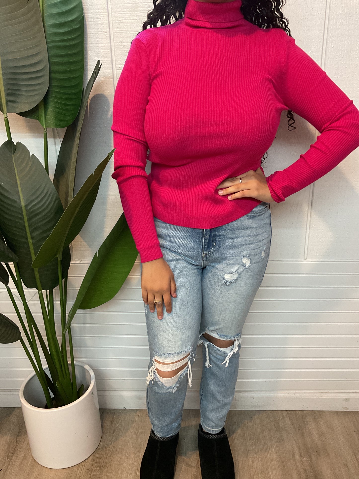 Turtle Neck Long Sleeve
